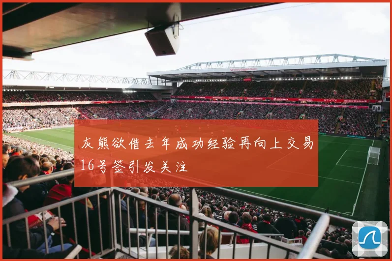 灰熊欲借去年成功经验再向上交易16号签引发关注