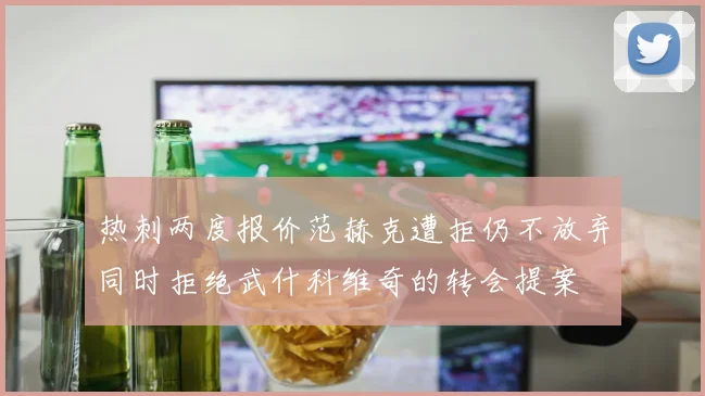 热刺两度报价范赫克遭拒仍不放弃同时拒绝武什科维奇的转会提案